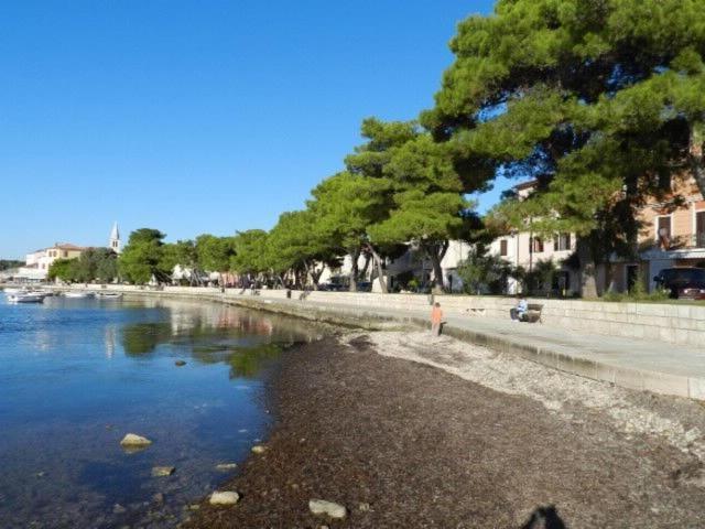 Apartments Radomir فاجانا المظهر الخارجي الصورة